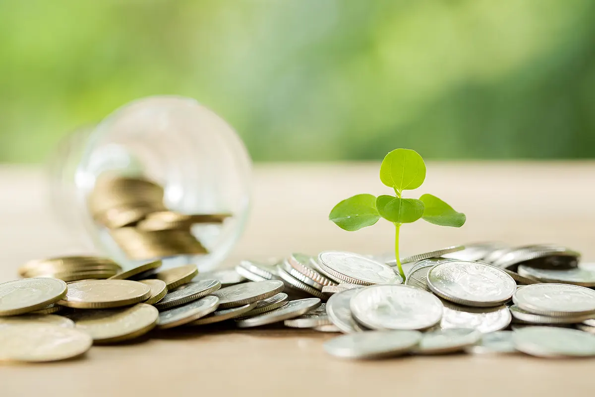 Assurance-vie : les SCPI de référence pour optimiser son capital