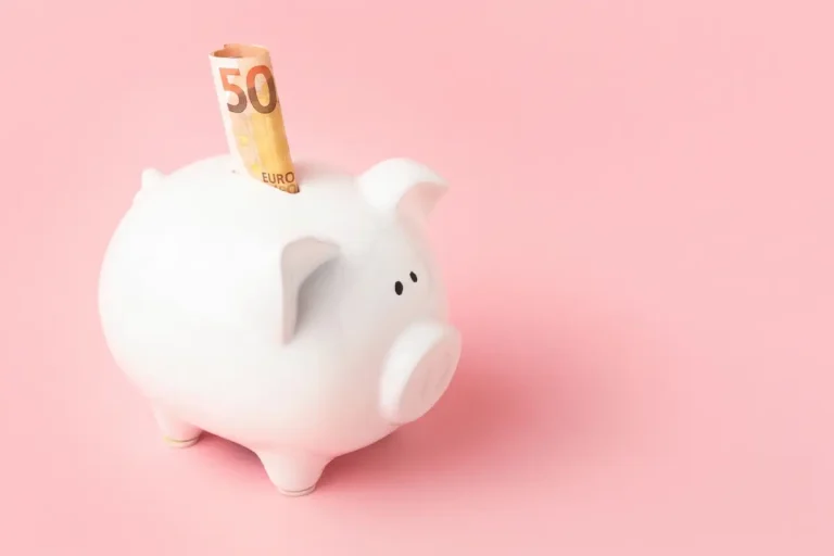 comment-econnomiser-plus-1500-e-1